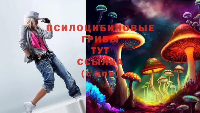 OMG маркетплейс  цены   Губкинский  Галлюциногенные грибы Psilocybe 