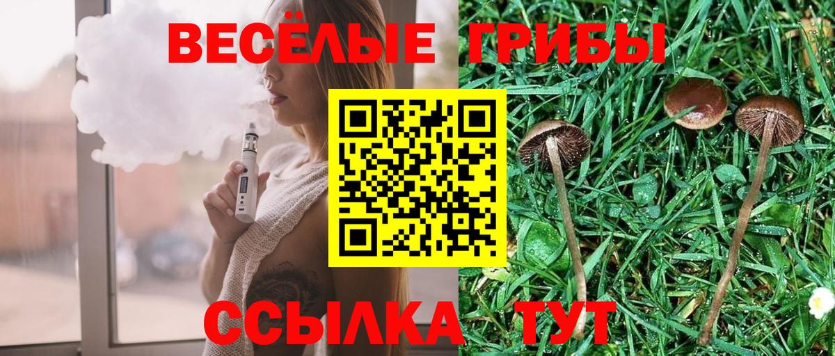 Галлюциногенные грибы мухоморы Губкинский