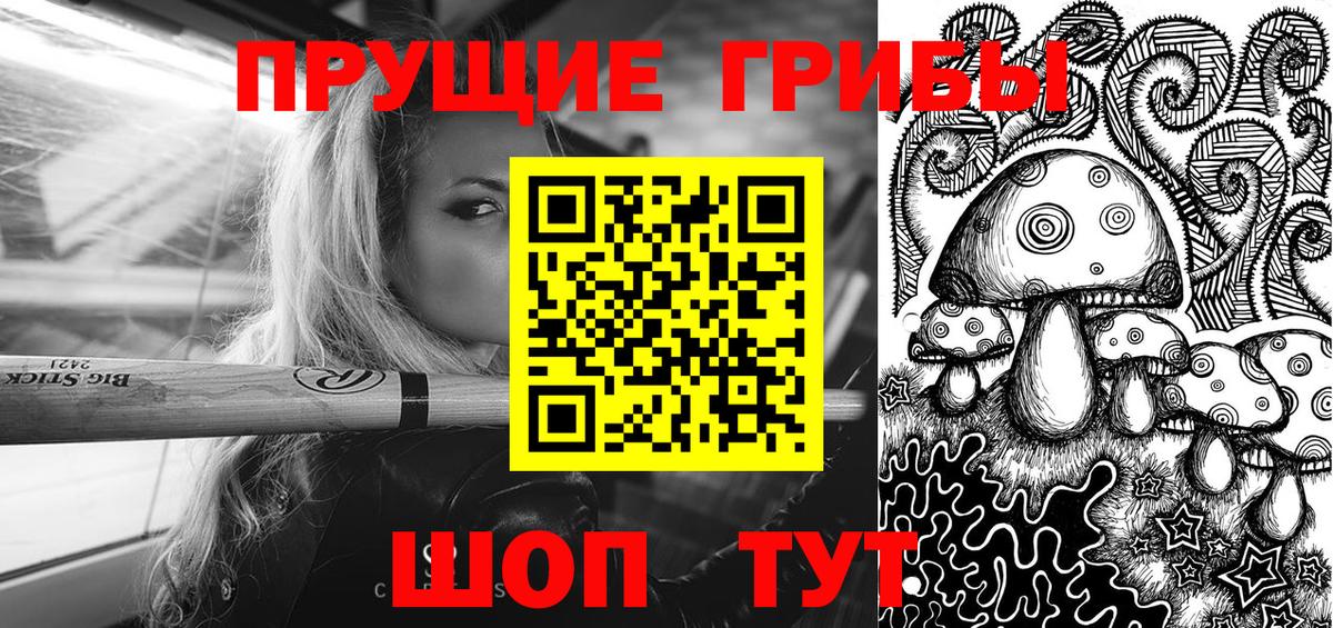 купить   Губкинский  Псилоцибиновые грибы ЛСД 