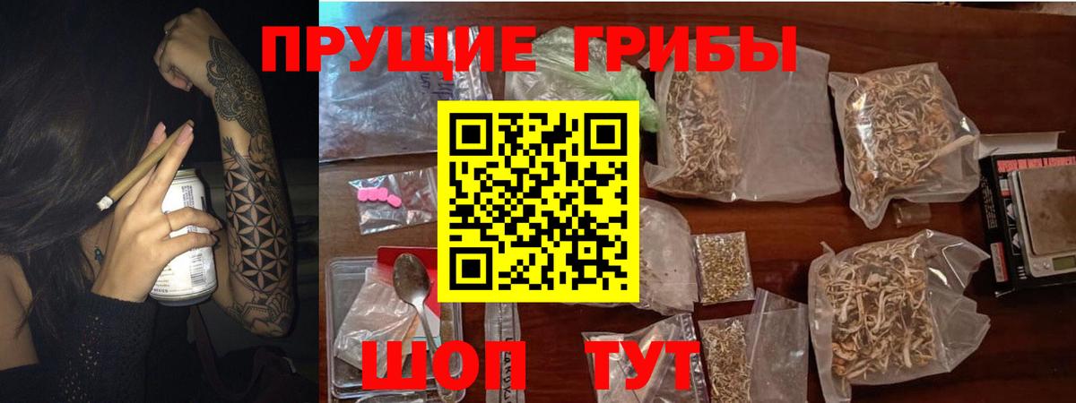 Губкинский  Псилоцибиновые грибы Magic Shrooms  Вход с VPN  Галлюциногенные грибы мицелий 